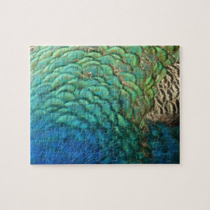 Peacock Feathers I Colourful Abstract Nature Desig Jigsaw Puzzle
