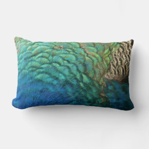 Peacock Feathers I Colourful Abstract Nature Desig Lumbar Pillow