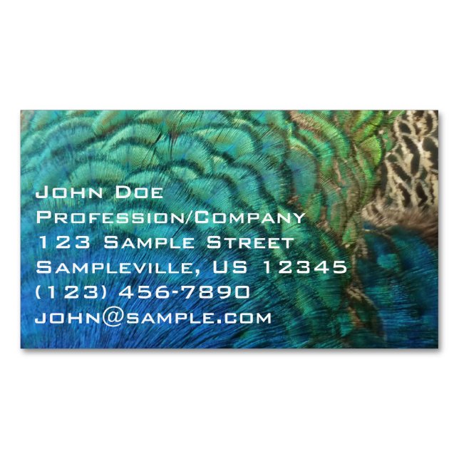 Peacock Feathers I Colourful Abstract Nature Desig Magnetic Business Card (Front)