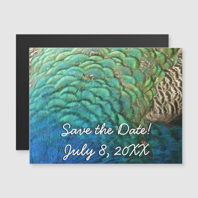 Peacock Feathers I Colourful Abstract Nature Desig Magnetic Invitation (Front/Back)