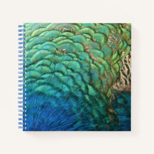 Peacock Feathers I Colourful Abstract Nature Desig Notebook