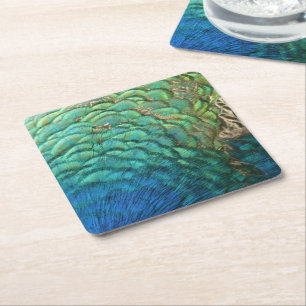Peacock Feathers I Colourful Abstract Nature Desig Square Paper Coaster