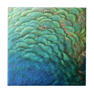 Peacock Feathers I Colourful Abstract Nature Desig Tile