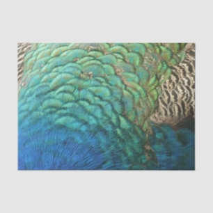 Peacock Feathers I Colourful Abstract Nature Desig Tissue Paper