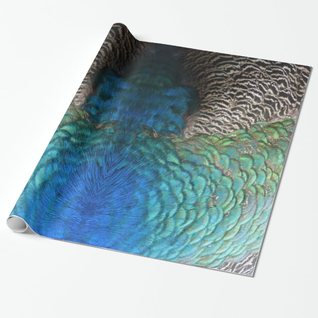 Peacock Feathers I Colourful Abstract Nature Desig Wrapping Paper (Unrolled)