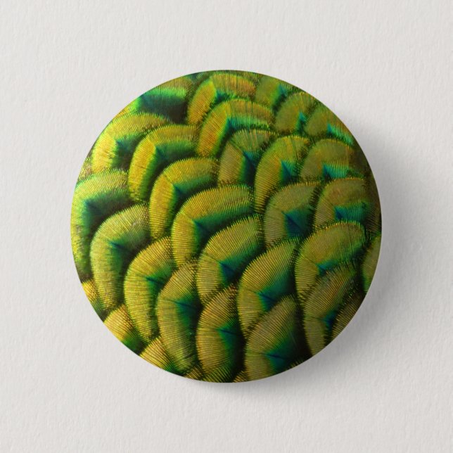 Peacock Feathers II Colourful Nature 2 Inch Round Button (Front)