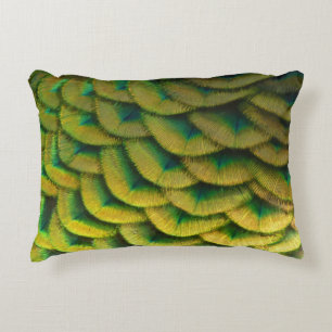 Peacock Feathers II Colourful Nature Accent Pillow