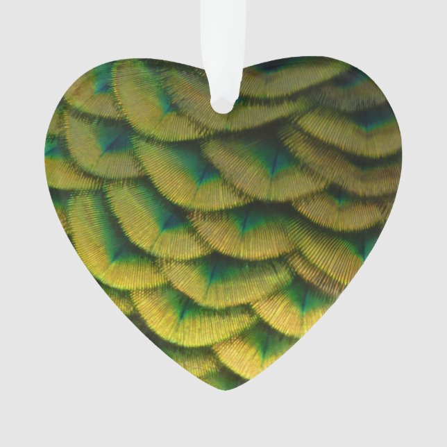 Peacock Feathers II Colourful Nature Ornament (Front)