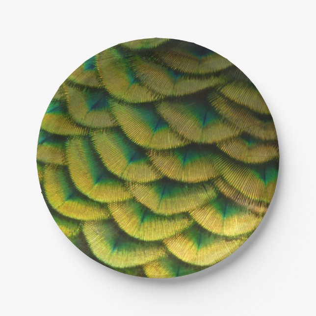 Peacock Feathers II Colourful Nature Paper Plate (Front)