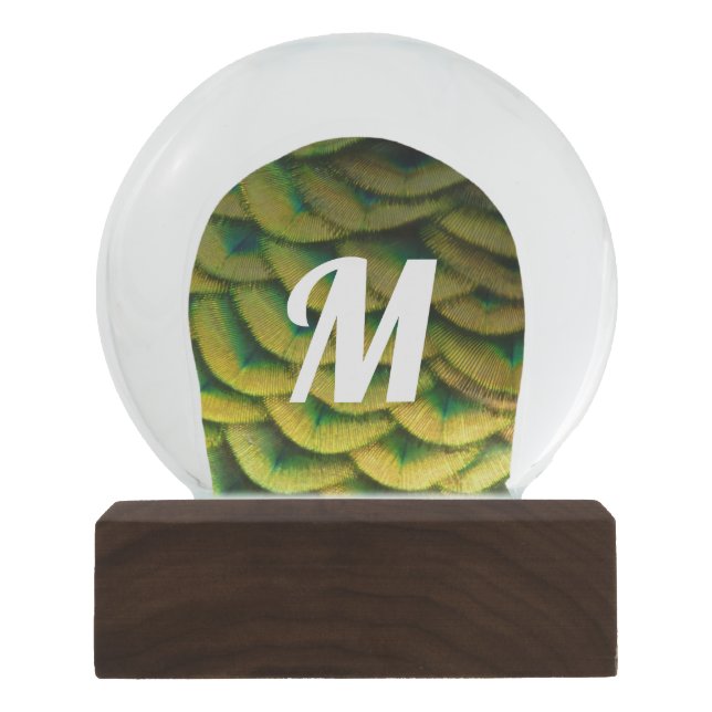 Peacock Feathers II Colourful Nature Snow Globe (Front)