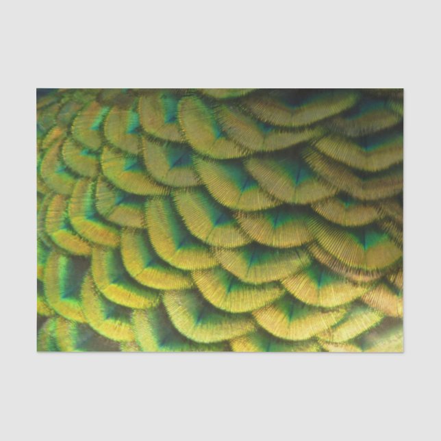 Peacock Feathers II Colourful Nature Tissue Paper (Front)