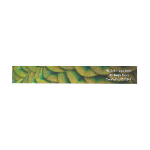Peacock Feathers II Colourful Nature Wrap Around Label