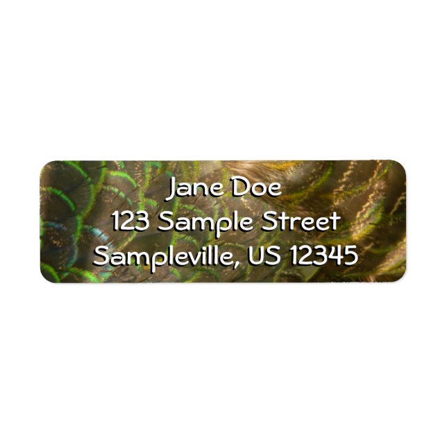 Peacock Feathers III (Female) Subtil Nature Design (Devant)