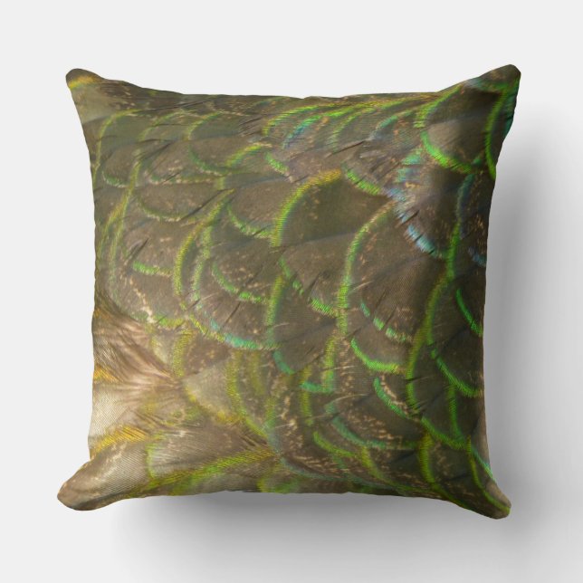 Peacock Feathers III (Female) Subtle Nature Design Throw Pillow (Front)