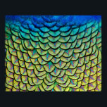 Peacock Feathers in a Colorful Art Deco Pattern Poster<br><div class="desc">Print featuring a close up of the beautiful feathers on the nape of a peacock that form an exquisite art deco-like pattern,  highlighting the colorful iridescent green,  blue,  bronze and yellow details of these feathers. Unique beautiful wall decor for bird and nature lovers. Photo taken at Arcadia,  California.</div>