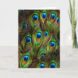 Peacock Feathers Invasion Card