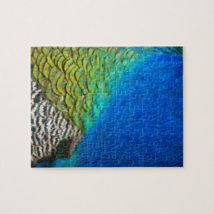 Peacock Feathers IV Colourful Abstract Nature Jigsaw Puzzle
