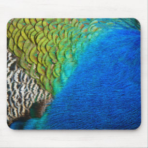 Peacock Feathers IV Colourful Abstract Nature Mouse Pad