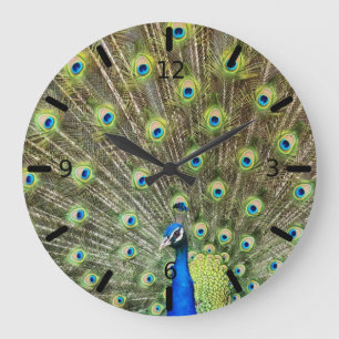 Peacock feathers large clock