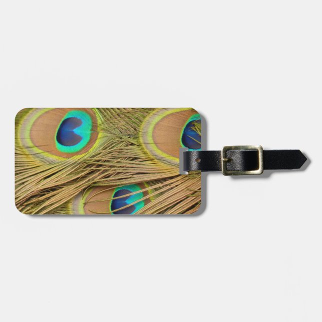 Peacock Feathers Luggage Tag (Front Horizontal)