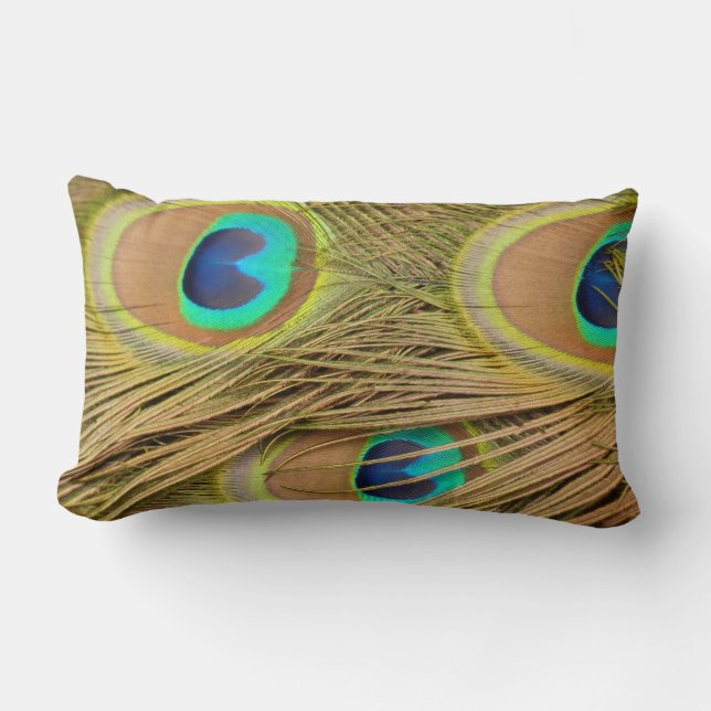 Peacock Feathers Lumbar Pillow (Front)