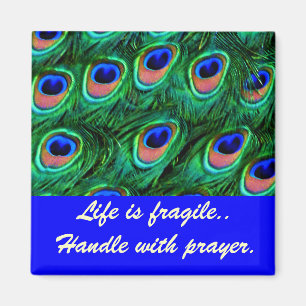 Peacock feathers_ magnet
