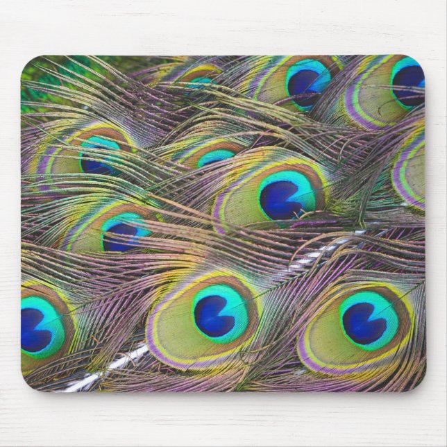 Peacock Feathers Mouse Pad (Front)