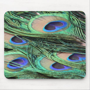 Peacock Feathers Mouse Pad