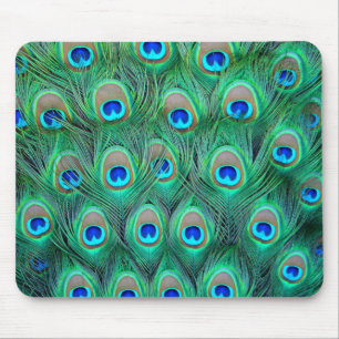 Peacock Feathers Mouse Pad