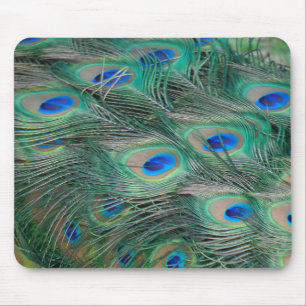 Peacock Feathers Mouse Pad