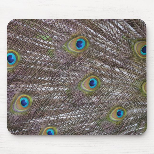 Peacock Feathers Mouse Pad (Front)