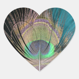 Peacock Feathers on black and turquoise Heart Sticker