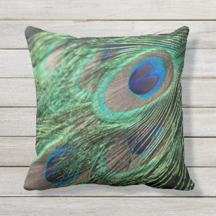 Peacock Feathers Outdoor Pillow