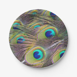 Peacock Feathers Paper Plate