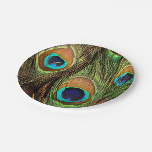 Peacock Feathers Paper Plates