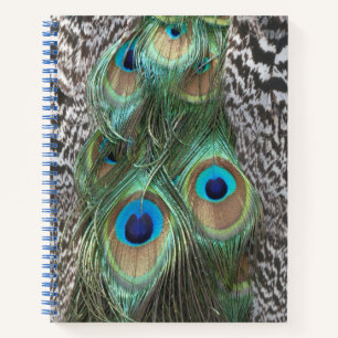 Peacock Feathers Pattern Notebook
