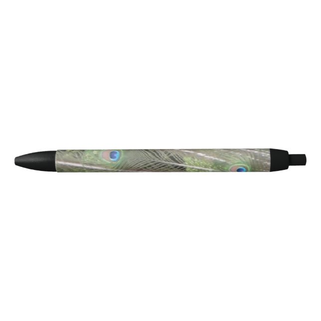 Peacock Feathers Pen (Front)