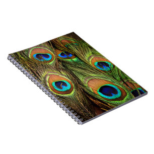 Peacock Feathers Photo Notebook