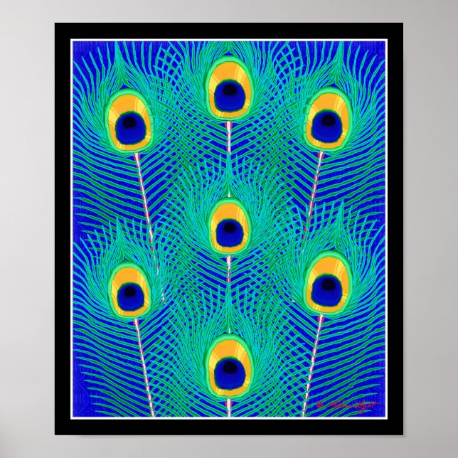 Peacock Feathers Poster Print (Front)