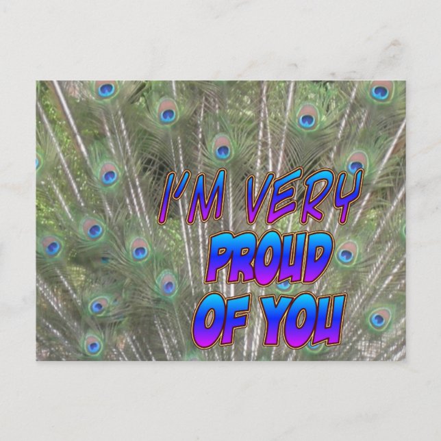 Peacock Feathers Proud Postcard (Front)