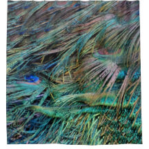 Peacock Feathers Rainbow Colours