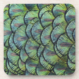 Peacock Feathers Set of 6 Coasters