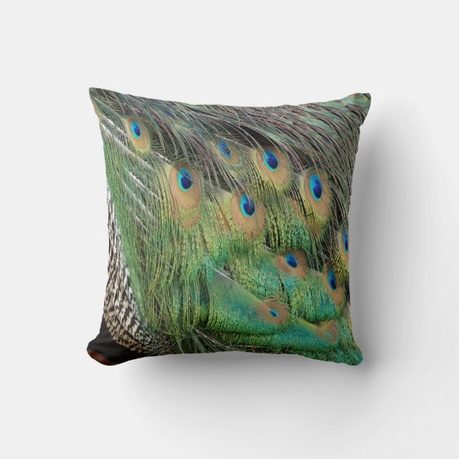 Peacock Feathers Tan Green And blue Colours Throw Pillow (Front)