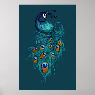 Peacock Feathers Teal Peacocks      Poster