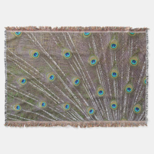 Peacock Feathers Throw Blanket