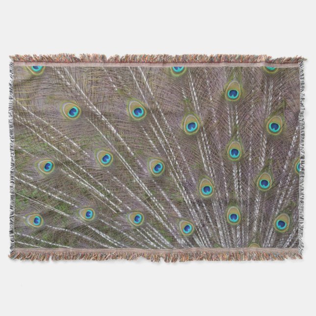 Peacock Feathers Throw Blanket (Front)