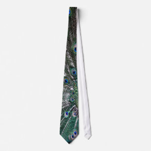 Peacock Feathers tie