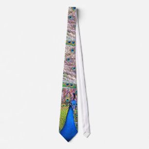 Peacock Feathers Tie