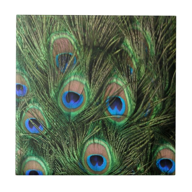 Peacock Feathers Tile (Front)
