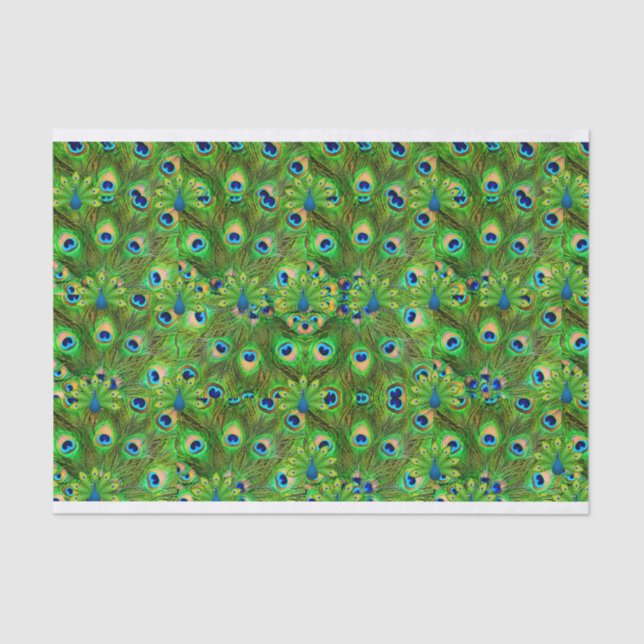 Peacock Feathers Tissue giftwrap Paper (Front)